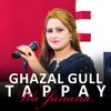 About Tappay Wa Janana Song