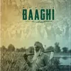 About BAAGHI Song