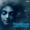 About Vrindavan Mero Vrindavan Song