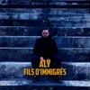 About Fils d'immigrés Song