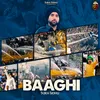 About Baaghi Song