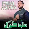 About Pagal Awara Song