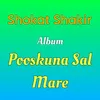 About Pooskuna Sal Mare Song