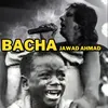 About BACHA Song