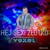 About Hej Sexi Złotko Song