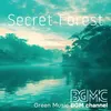 About Secret Forest Song