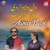 About Dil Welawanr Di Adat Banr Gai He Song