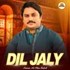 About Dil Jaly Song