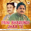 About Pani Bharendi Jhaa Te - Gull Tarikhelvi & Anwaar Ali Khan Baloch Song