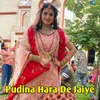 About Pudina Hara De Jaiye Song
