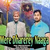 About Mere Dharerey Naaga Song