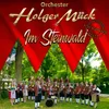 About Im Steinwald Song