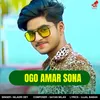 About Ogo Amar Sona Song