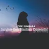 About Jangan Kau Biarkan Kusendiri Song