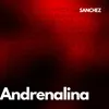 About Andrenalina Song