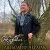 About Журавлі Song