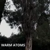 Warm Atoms