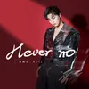 About Never No Song