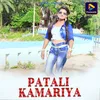 About PATALI KAMARIYA Song