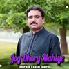 About Jog Dhory Mahiye Song