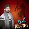 About Kashi Vishwanath Song
