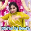 About Dil Tod Ke Bewfa Song