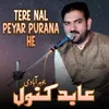 About Tere Nal Peyar Purana He Song