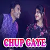 About Chup Gaye Song