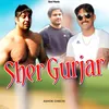 About Sher Gurjar Song