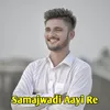 About Samajwadi Aayi Re Song