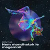 About Nem mondhatok le magamról Song