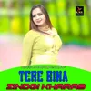 About Tere Bina Zindagi Kharab Song