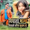 About VIDHATA BHAGYA Likhle Kon Kalam Se Song