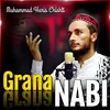 About Grana Nabi Song