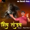 About New Shiv Tandav Song