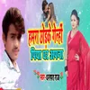 About Hamra Chhorke Gelhin Piya Ghar Aapna Song