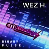 About Binary Pulse Song