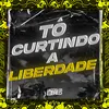 About TÔ CURTINDO A LIBERDADE Song