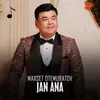 About Jan ana Song