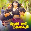 About Holi me Bhauji Song