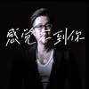 About 感觉不到你 Song