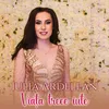 About Viața trece iute Song