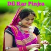About Dil Kar Pinjra Song