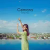 Cemara