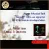 Bach: Cantata BWV 42 - Am Abend aber desselbigen Sabbats - VI. Aria: Jesus ist ein Schild der Seinen (Bass)