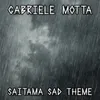 Saitama Sad Theme