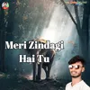 About Meri Zindagi Hai Tu Song