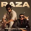 About Raza Song