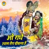 About Oh Radhe Shyam Tera Deewana Hai Song