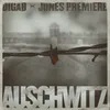 About Auschwitz Song